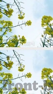 电脑看足球比分-指尖上的绿茵场，电脑看足球比分的便捷与激情
